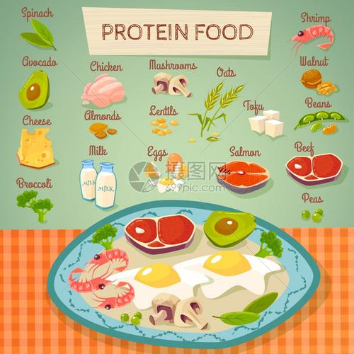 蛋白质食品生熟收集蛋白质丰富的食物平海报与肉蛋,乳制品蔬菜,生熟